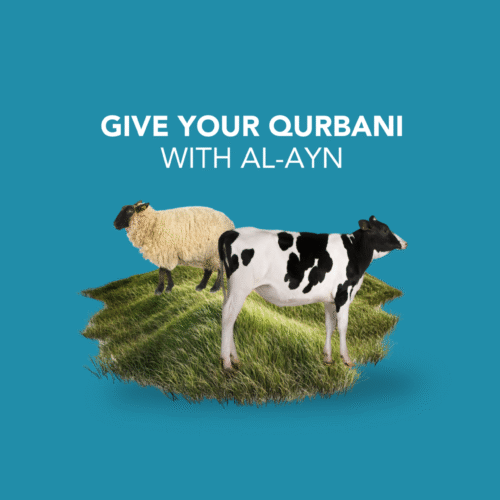Qurbani 2025